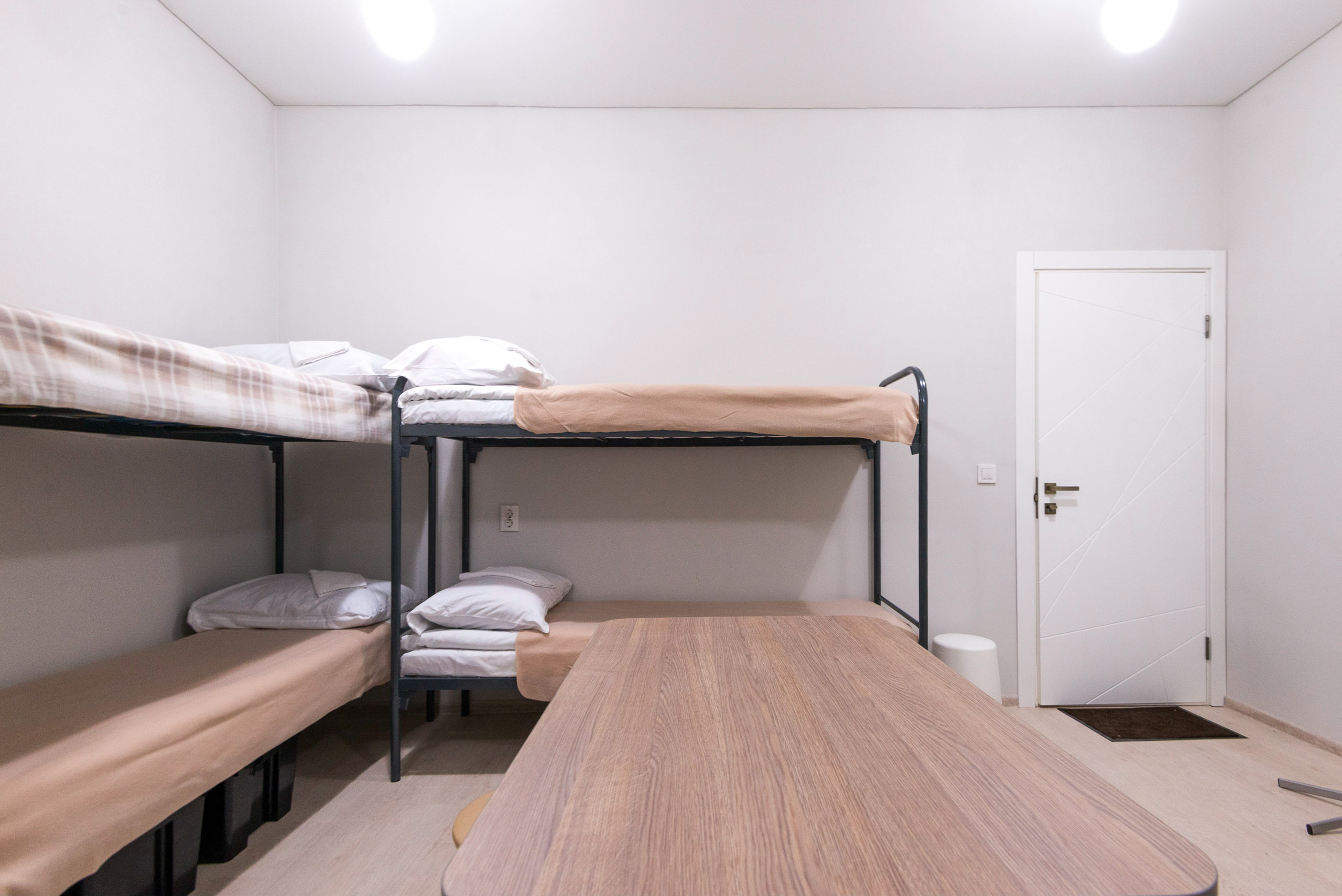 Фото Поживика