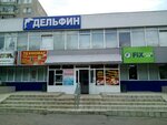 Дельфин (Гожувская ул., 24А), торговый центр в Саранске