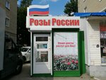 Розы России (Pobedy Avenue, 27) ، محل زهور