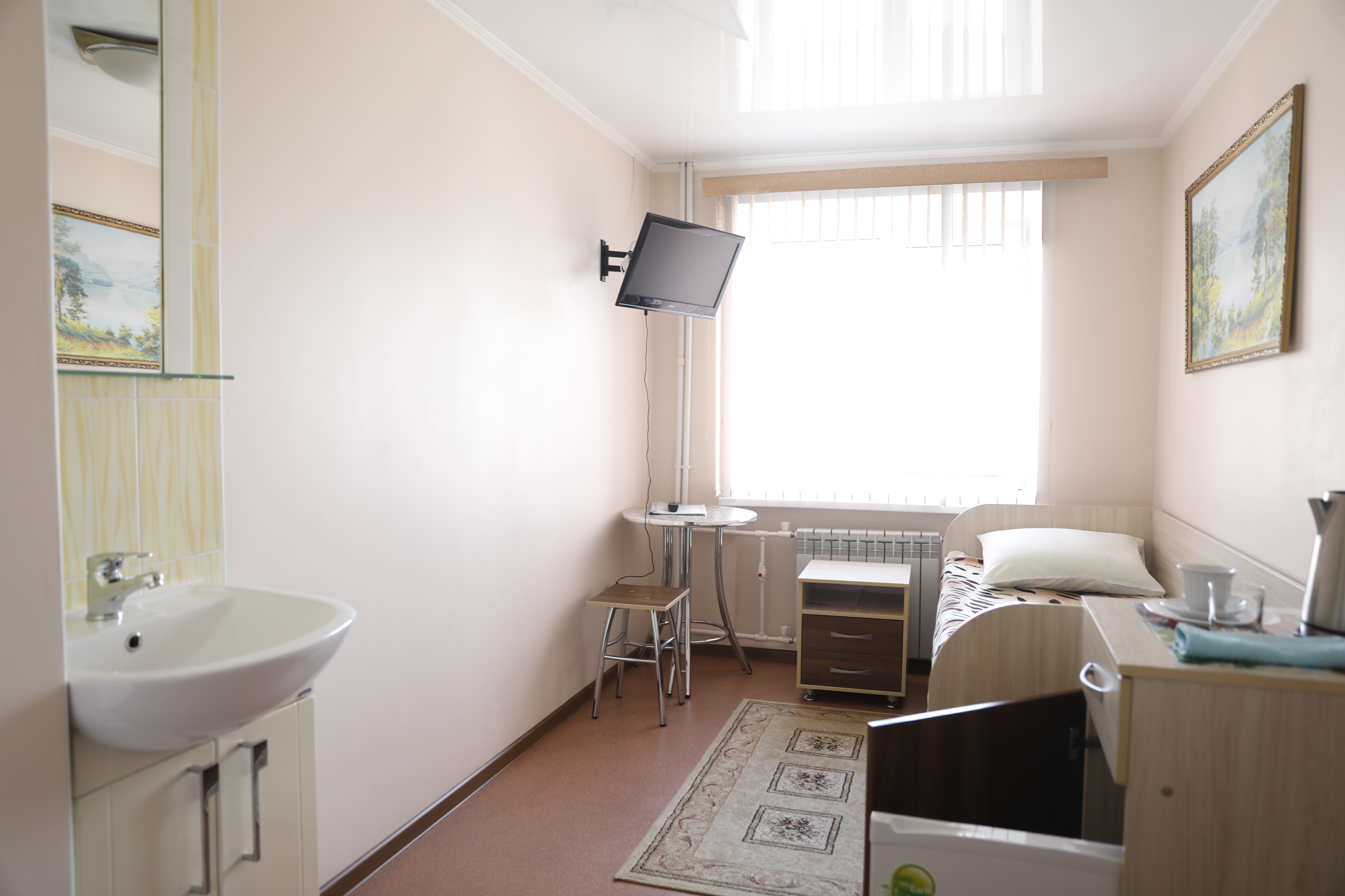 Фото Спутник