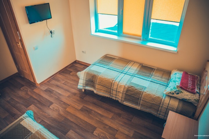 Фото Дельфиниум