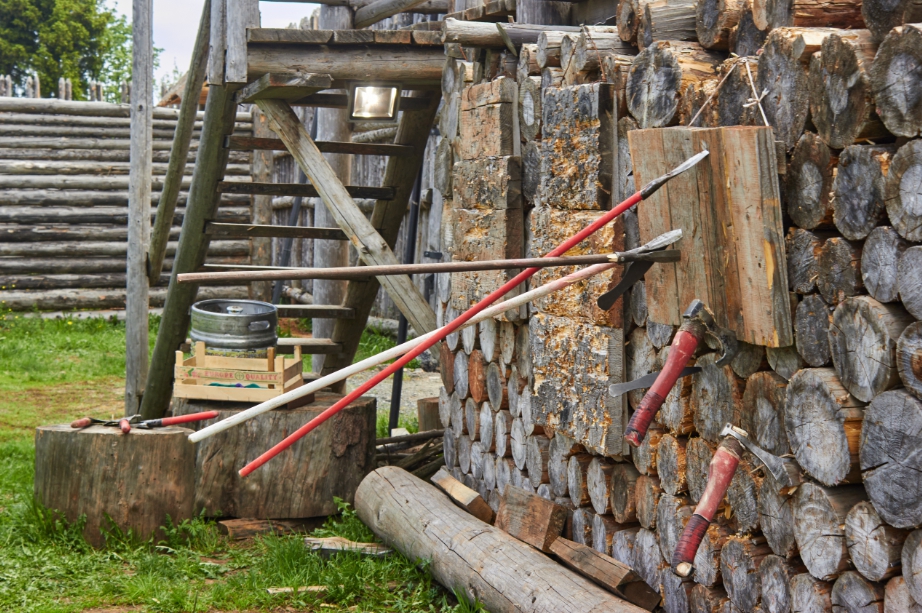 Фото Варяжская дружина