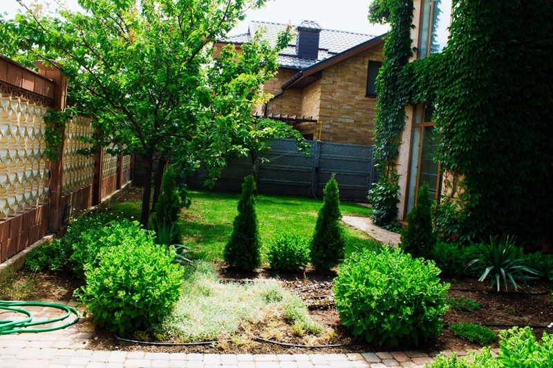 Фото Вилла Магриб и Шарк