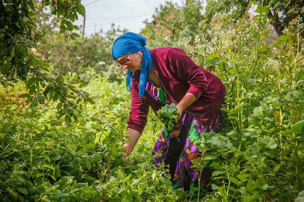 Фото Хижина Индиры