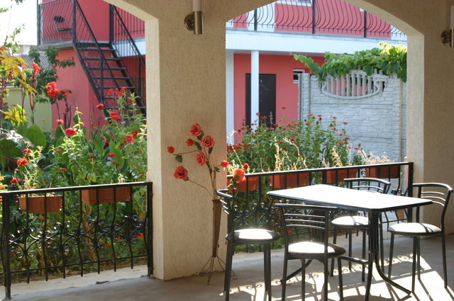 Фото Колибри