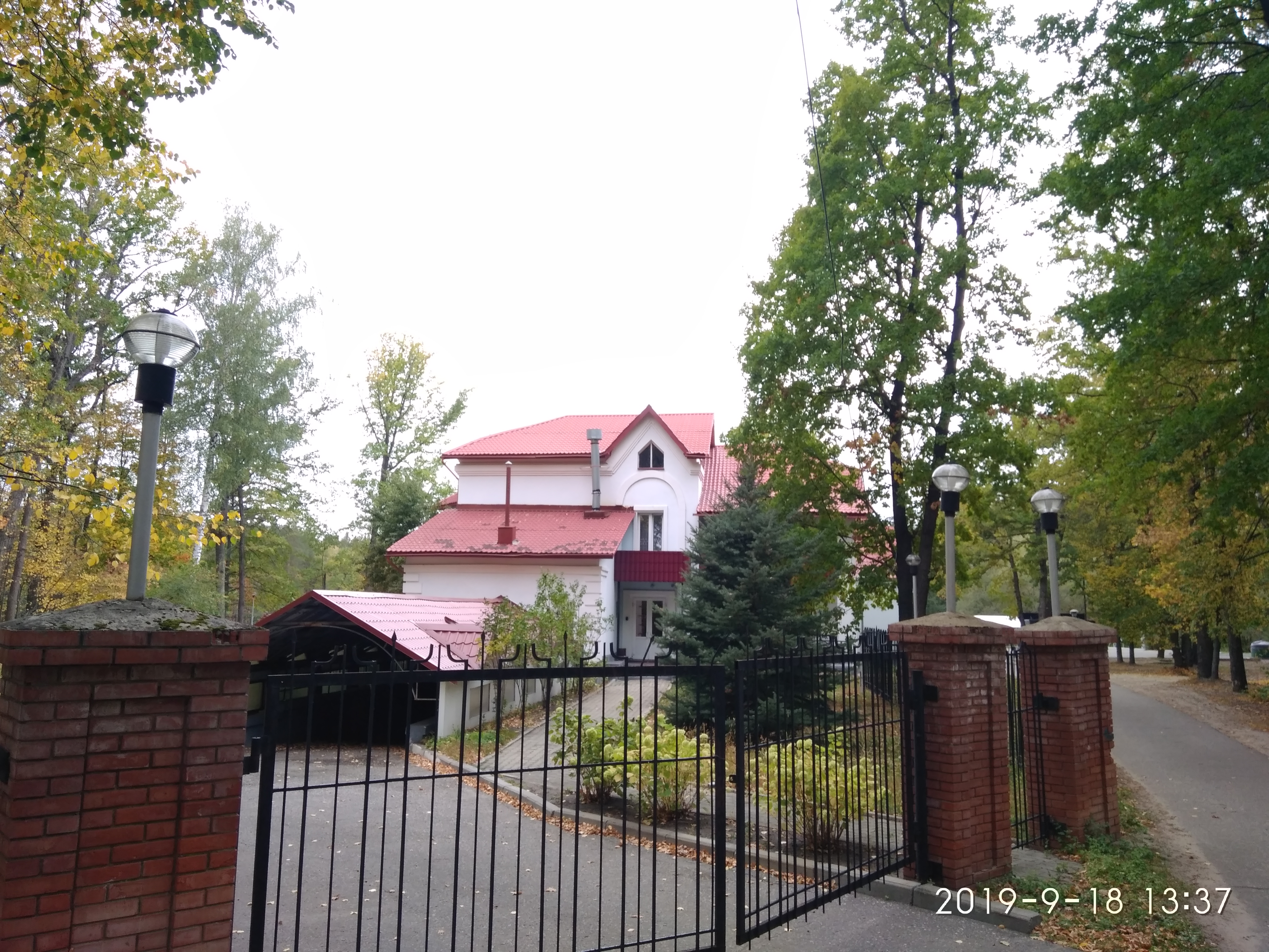 Фото Лесная