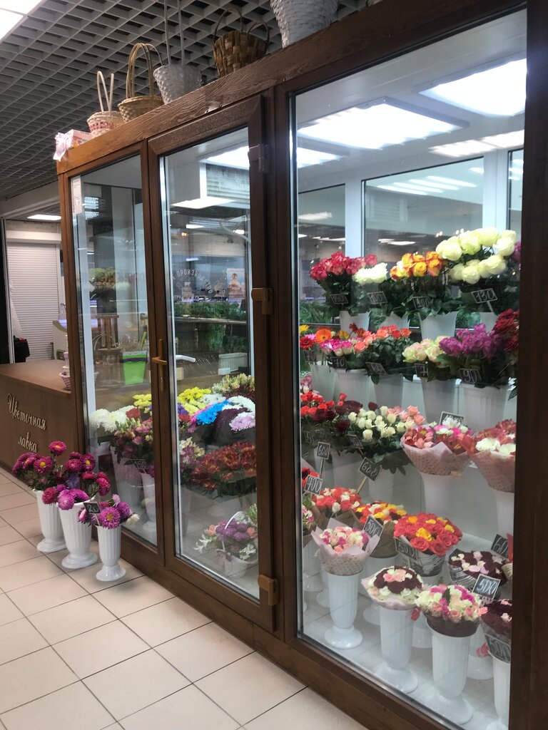 Мегацвет 24 Москва Магазины