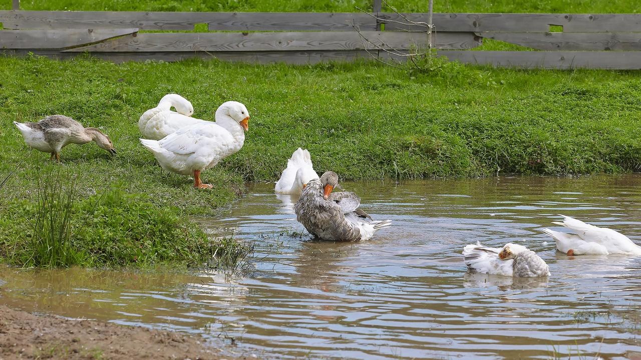 Фото Джао ДаЧа