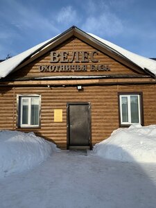 Сокол