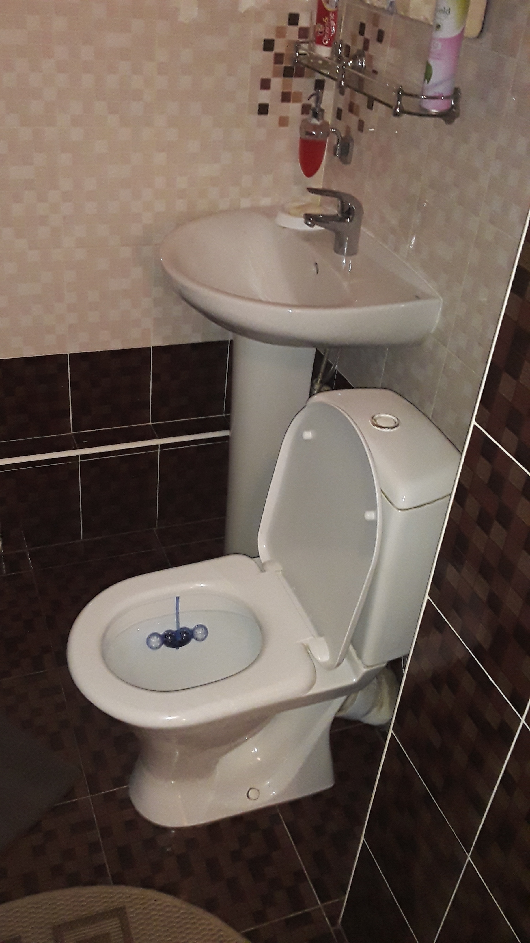 Фото Брусника