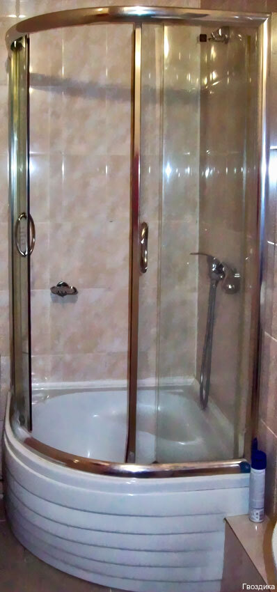 Фото Гвоздика