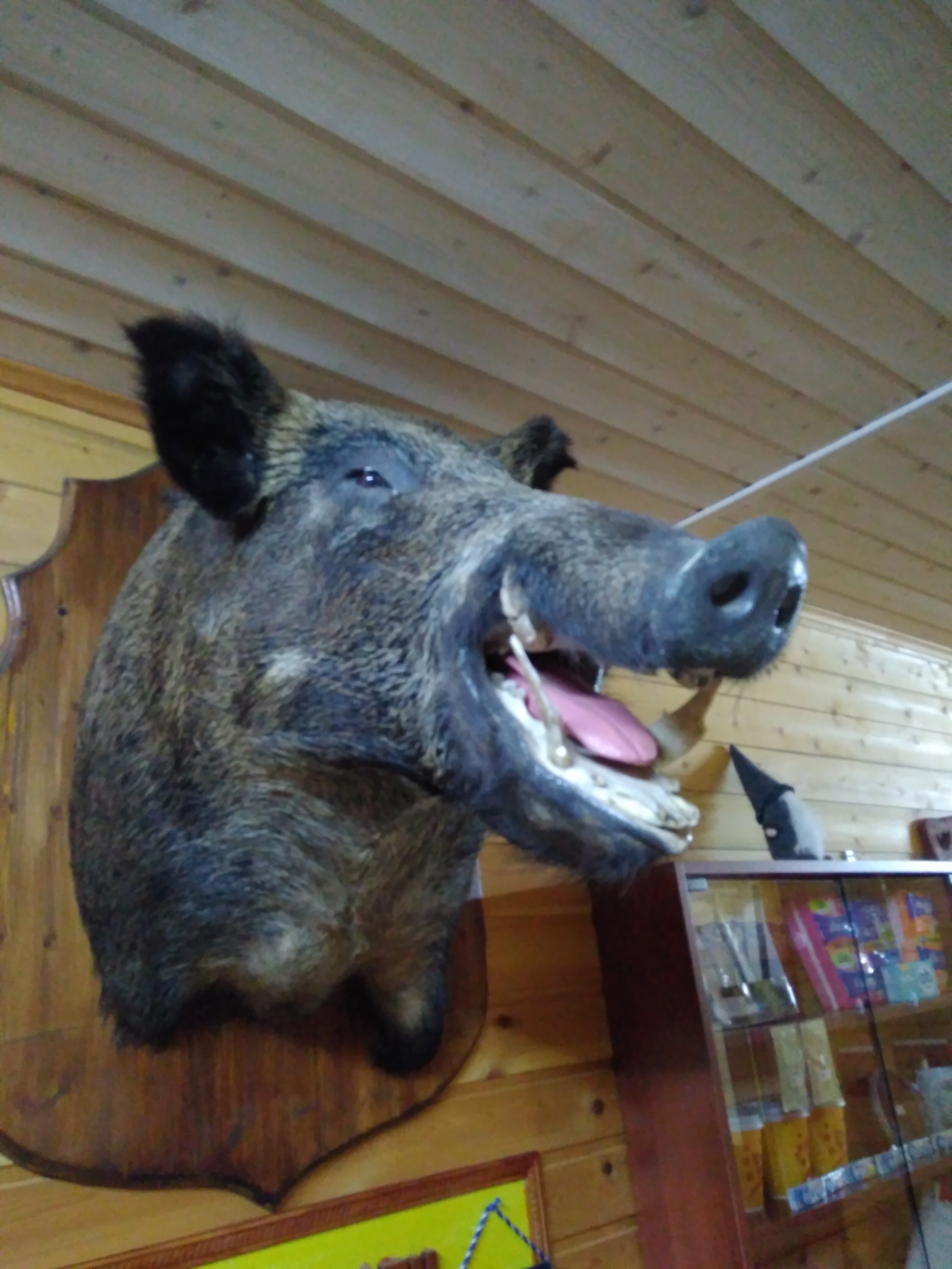 Фото Дом охотника