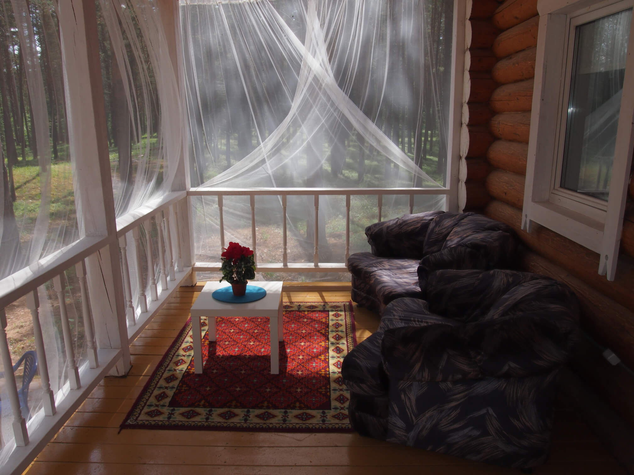 Фото Дивная усадьба