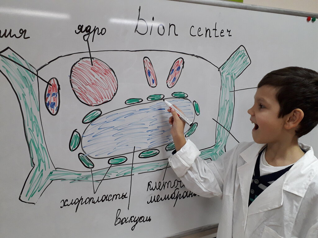 Школа парк балабан