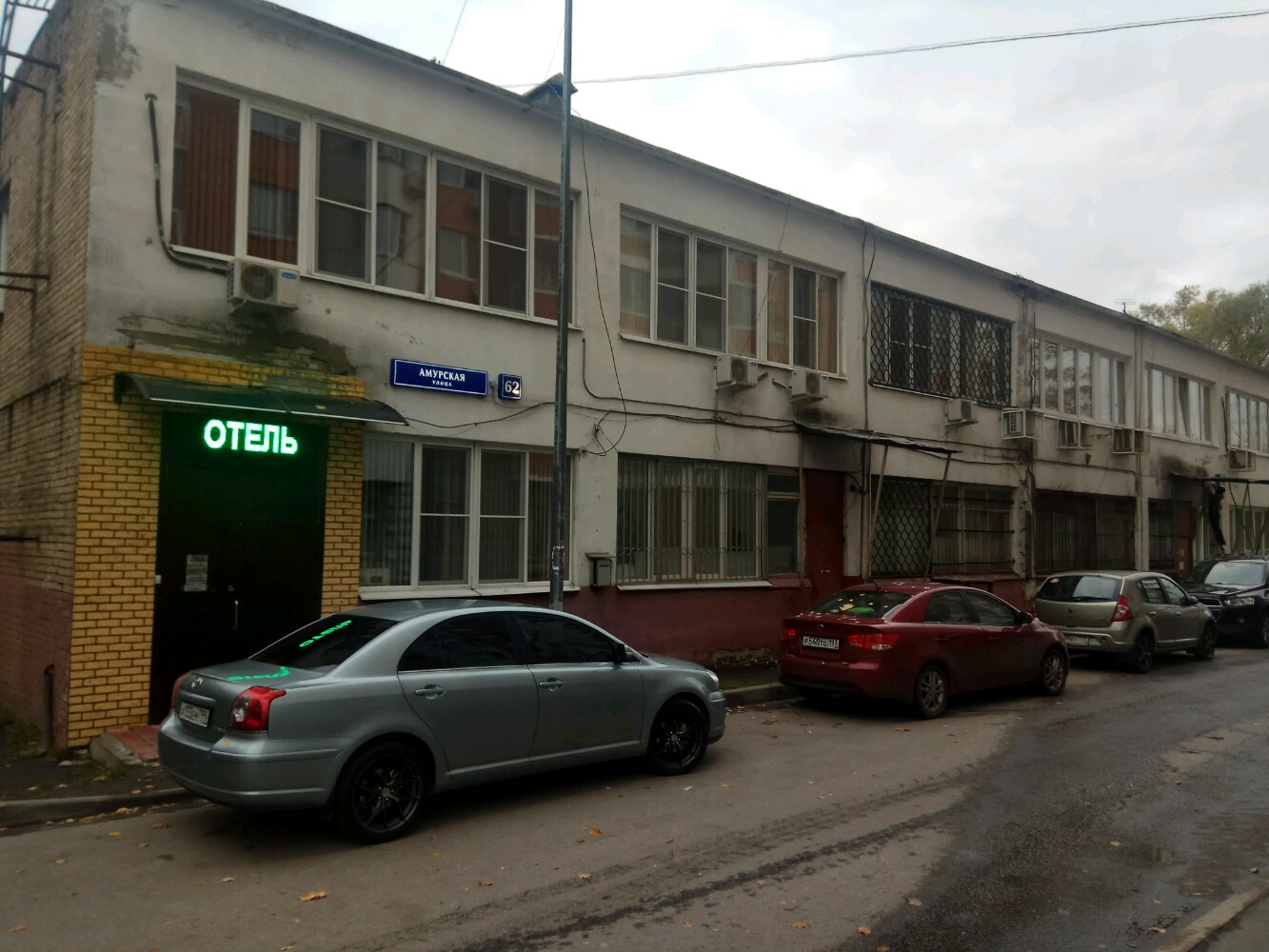 Фото Брусника Амурская