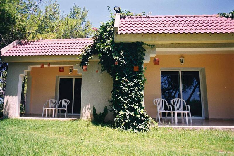 Фото Les Oliviers Palace