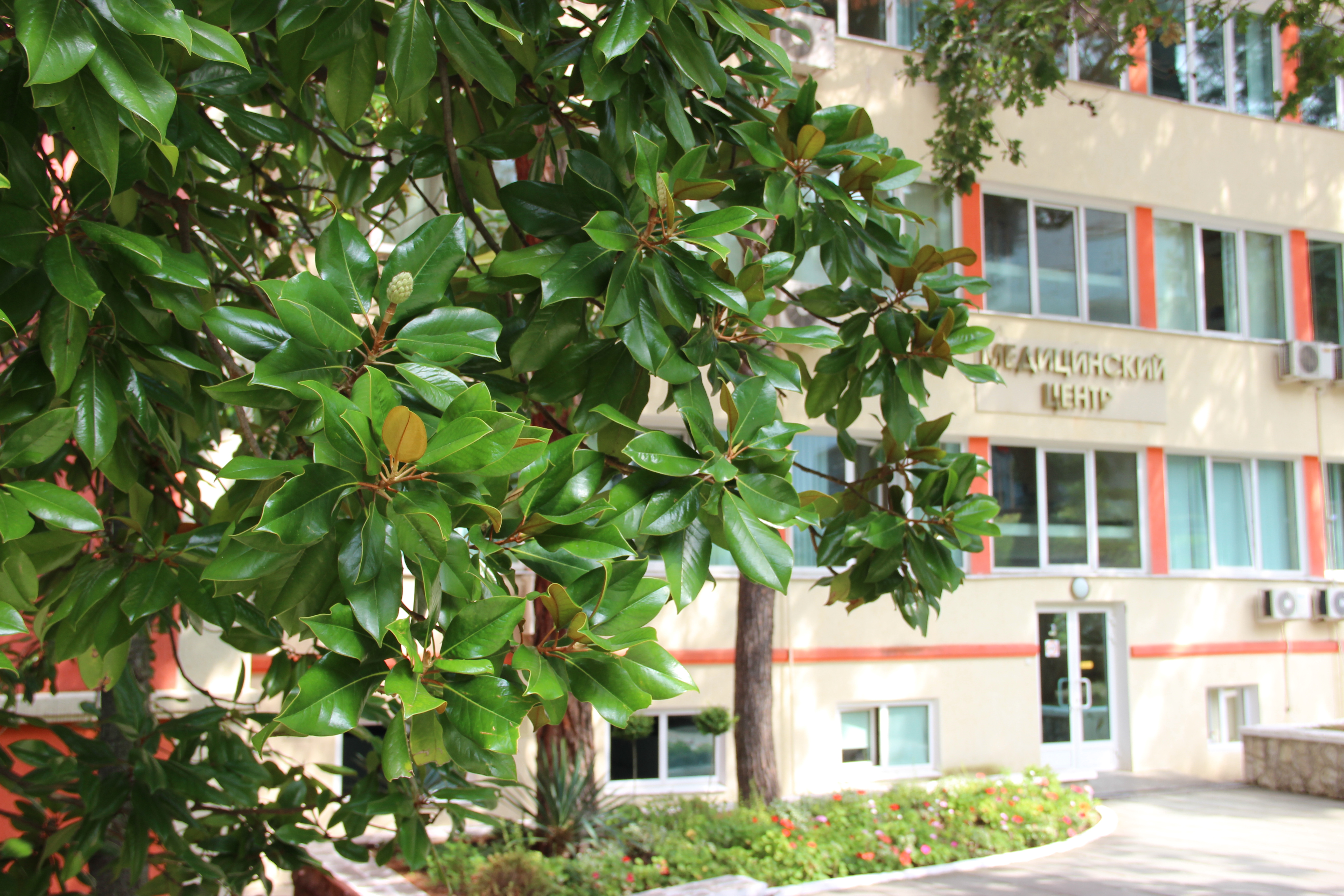 Фото Голубая даль