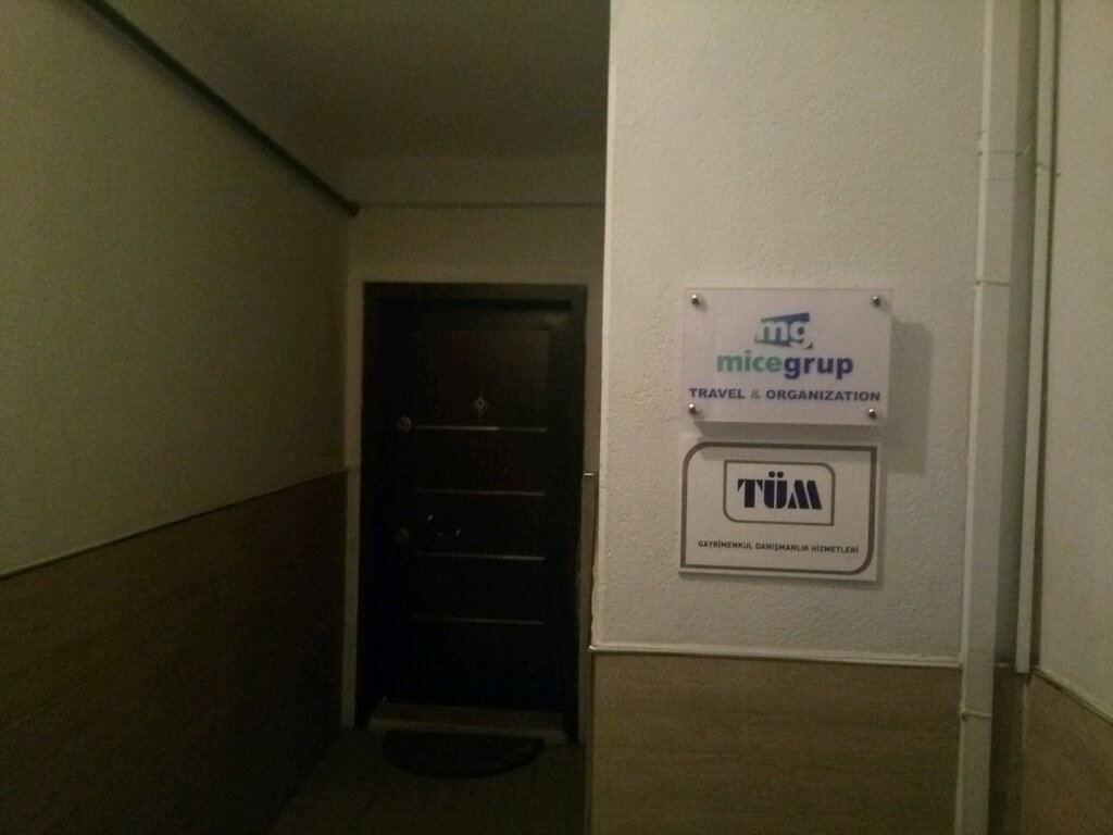 Tour operator Group Mice Tourism Organization, Ankara, photo