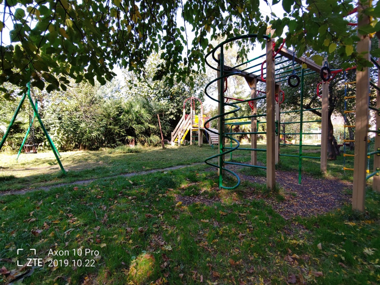 Фото Кипарис