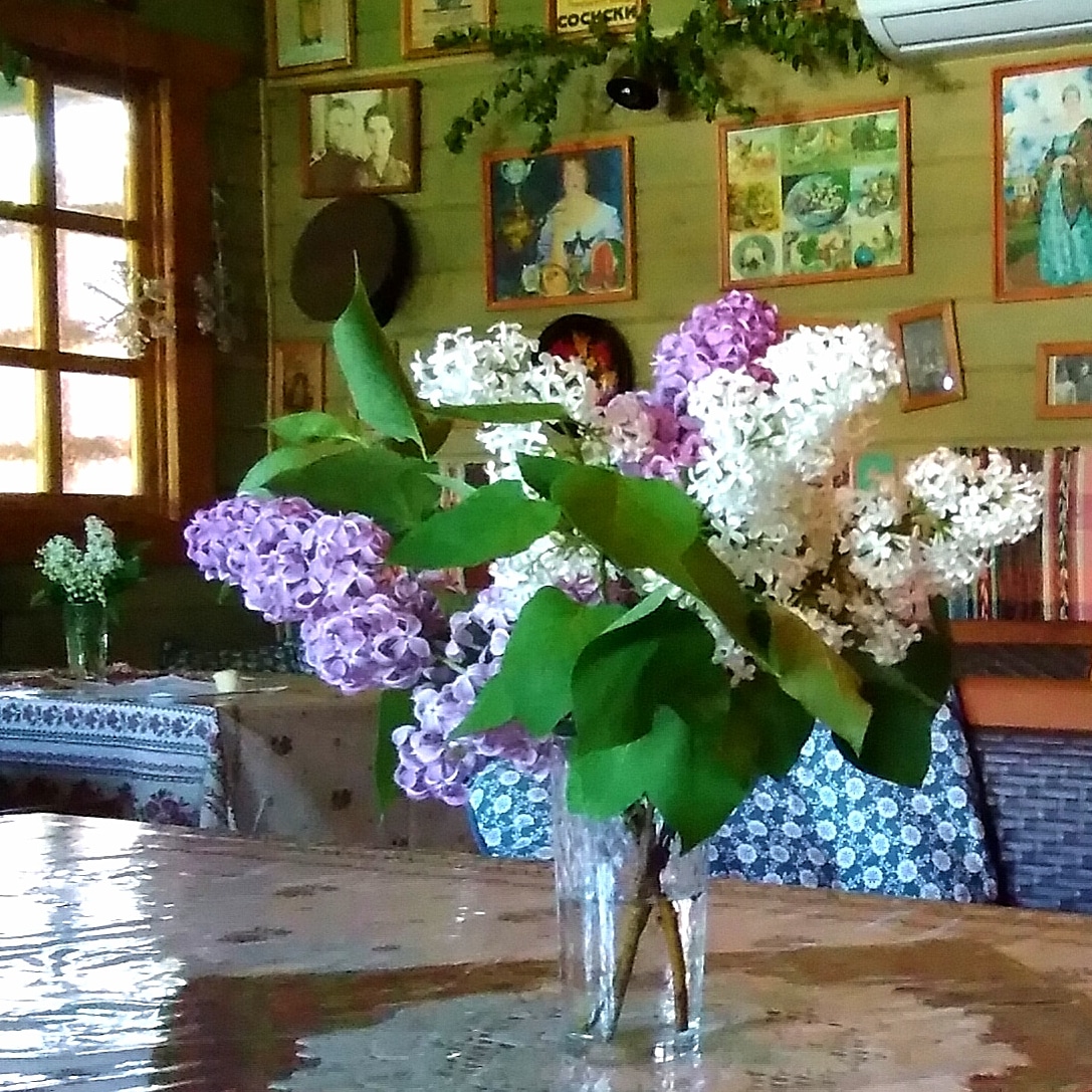 Фото Дивный дворик