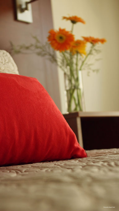 Фото Donsuites Apart Hotel