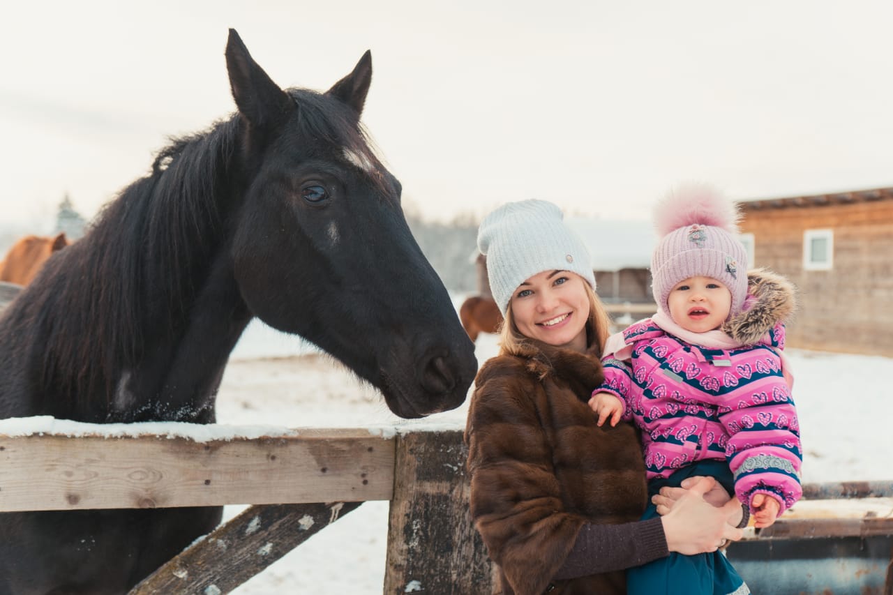 Фото Старсподворье