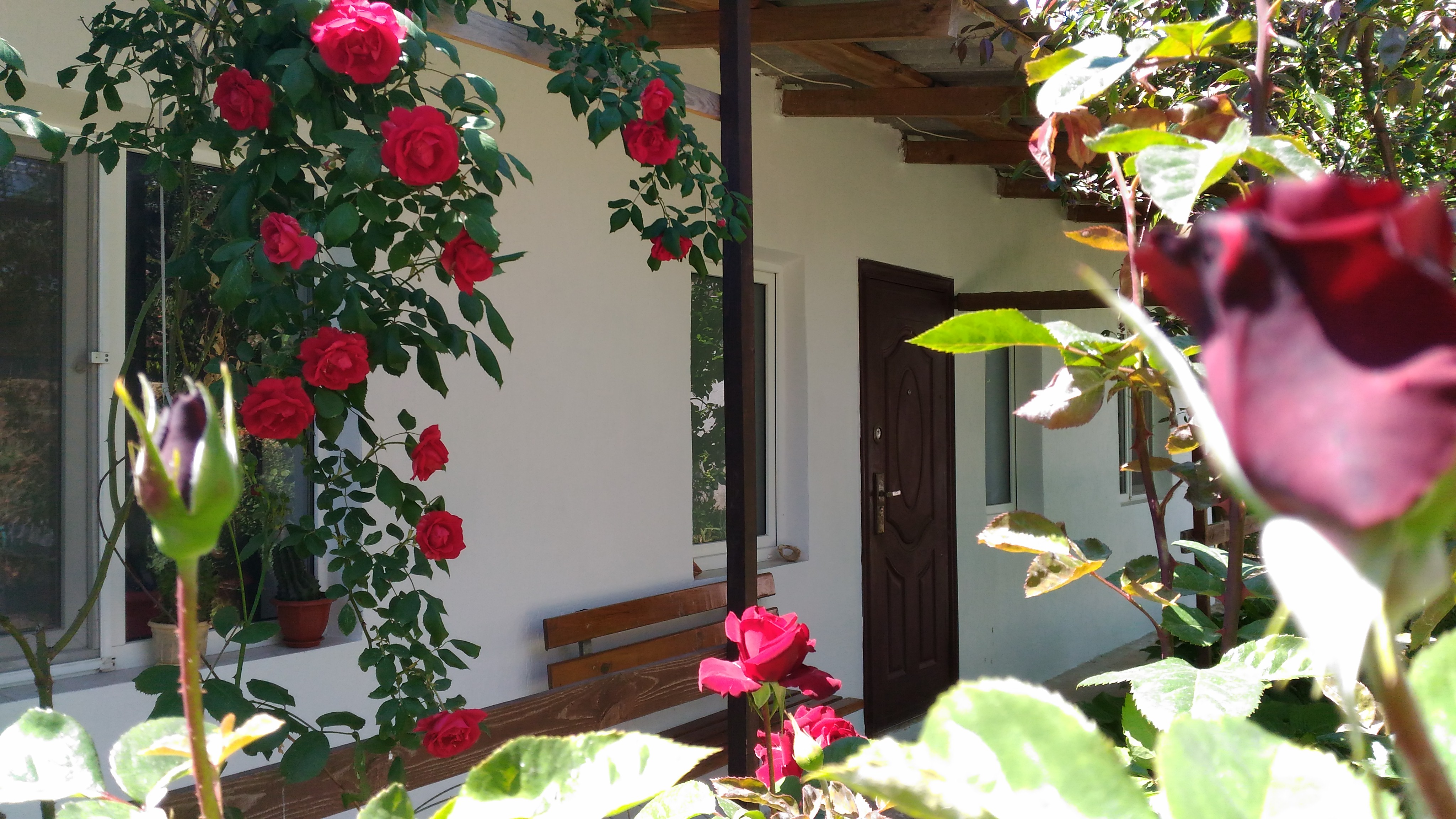 Фото СимСим