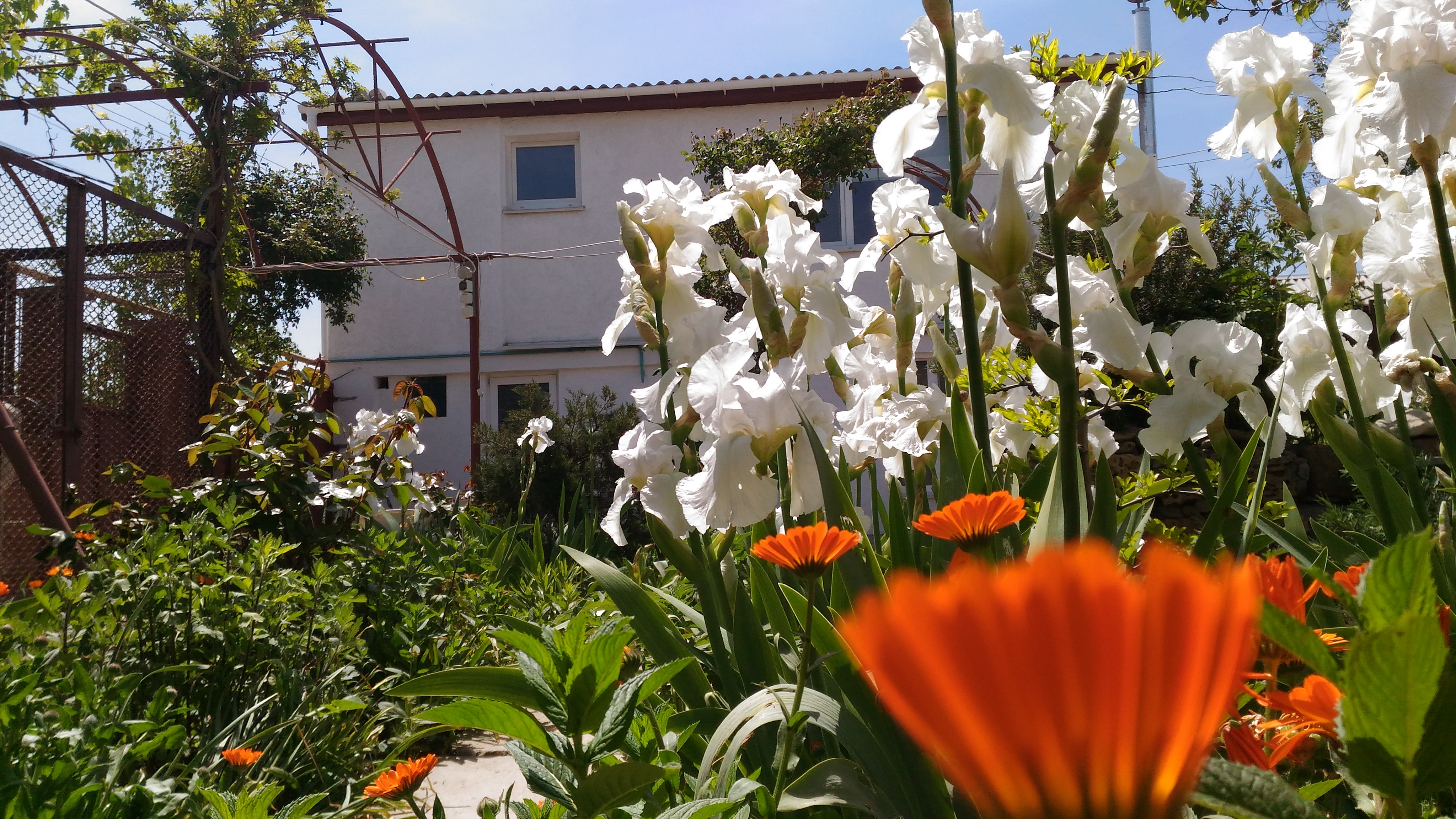 Фото СимСим