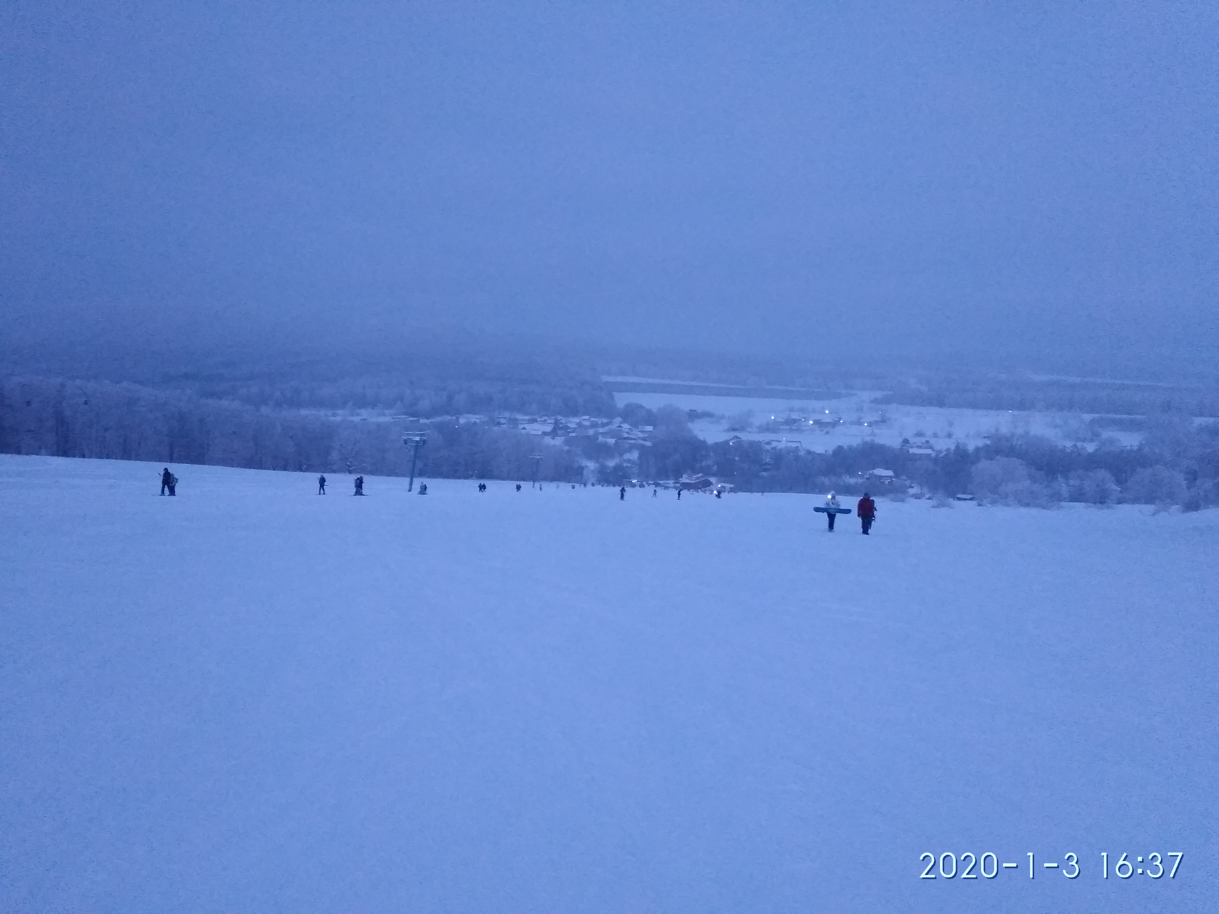 Фото Лесная сказка