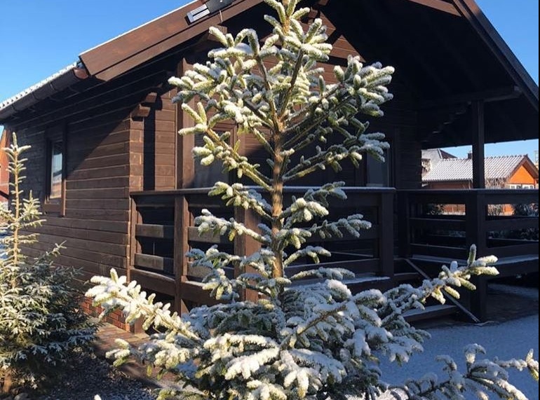 Фото Клуб семейного отдыха Медведь