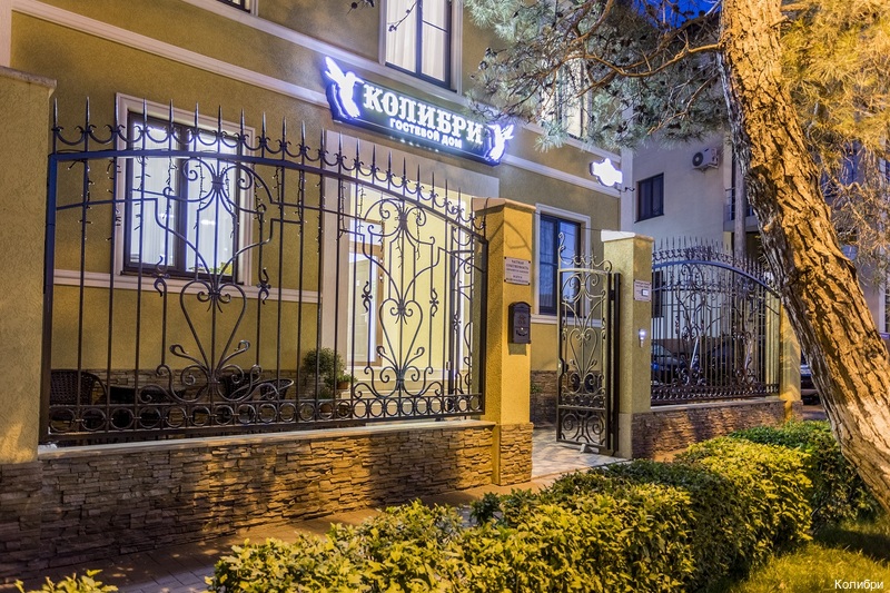 Фото Колибри