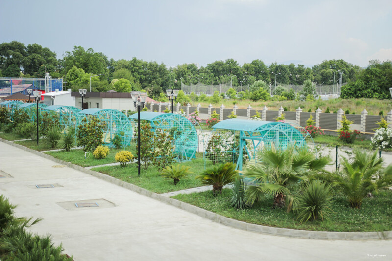 Фото Золотой огонек