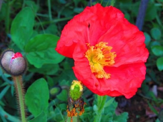 Фото Top House Bed & Breakfast