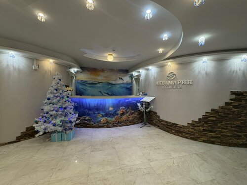 Гостиница Аквамарин в Клину