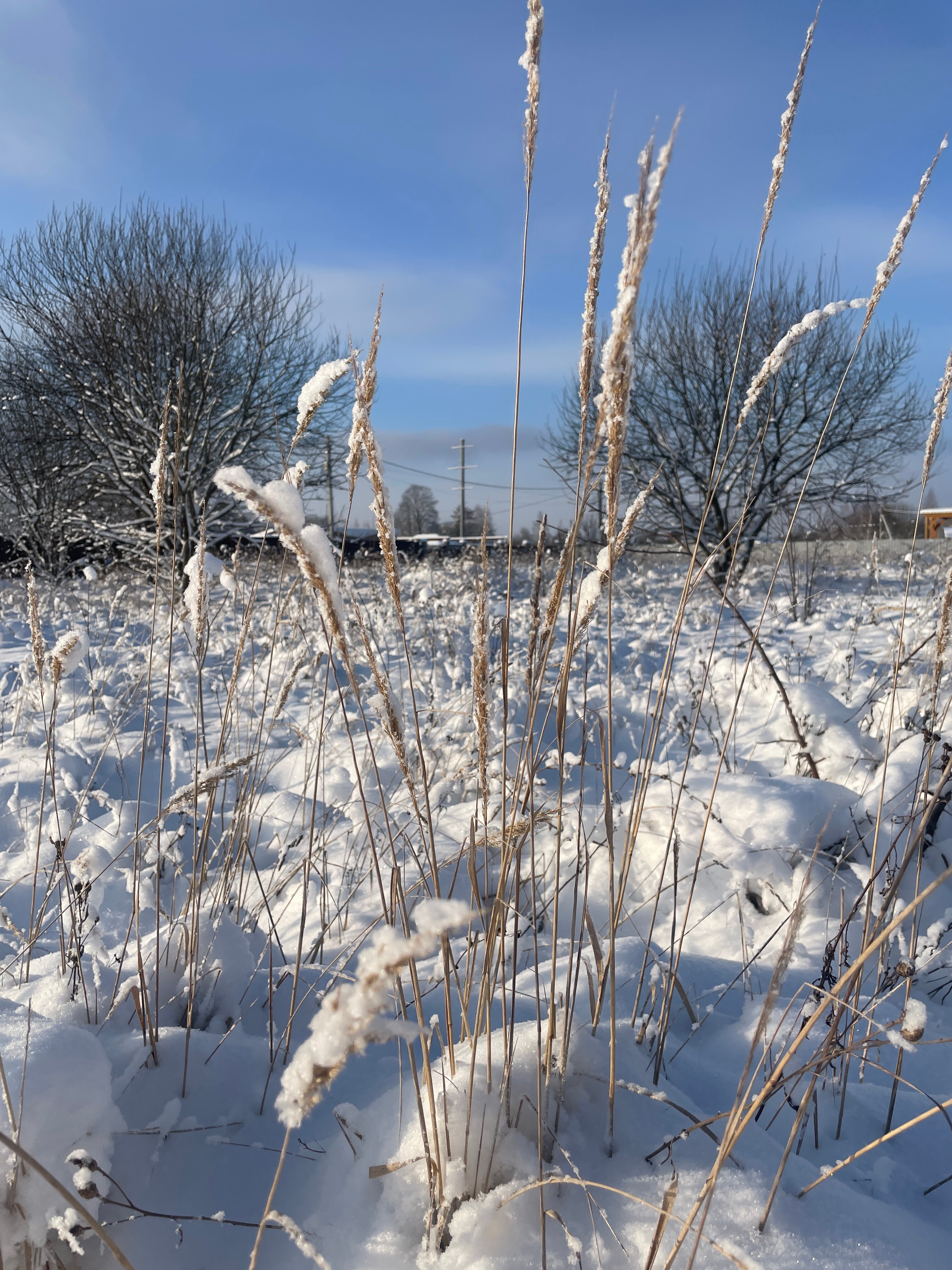 Фото Тихая Гавань