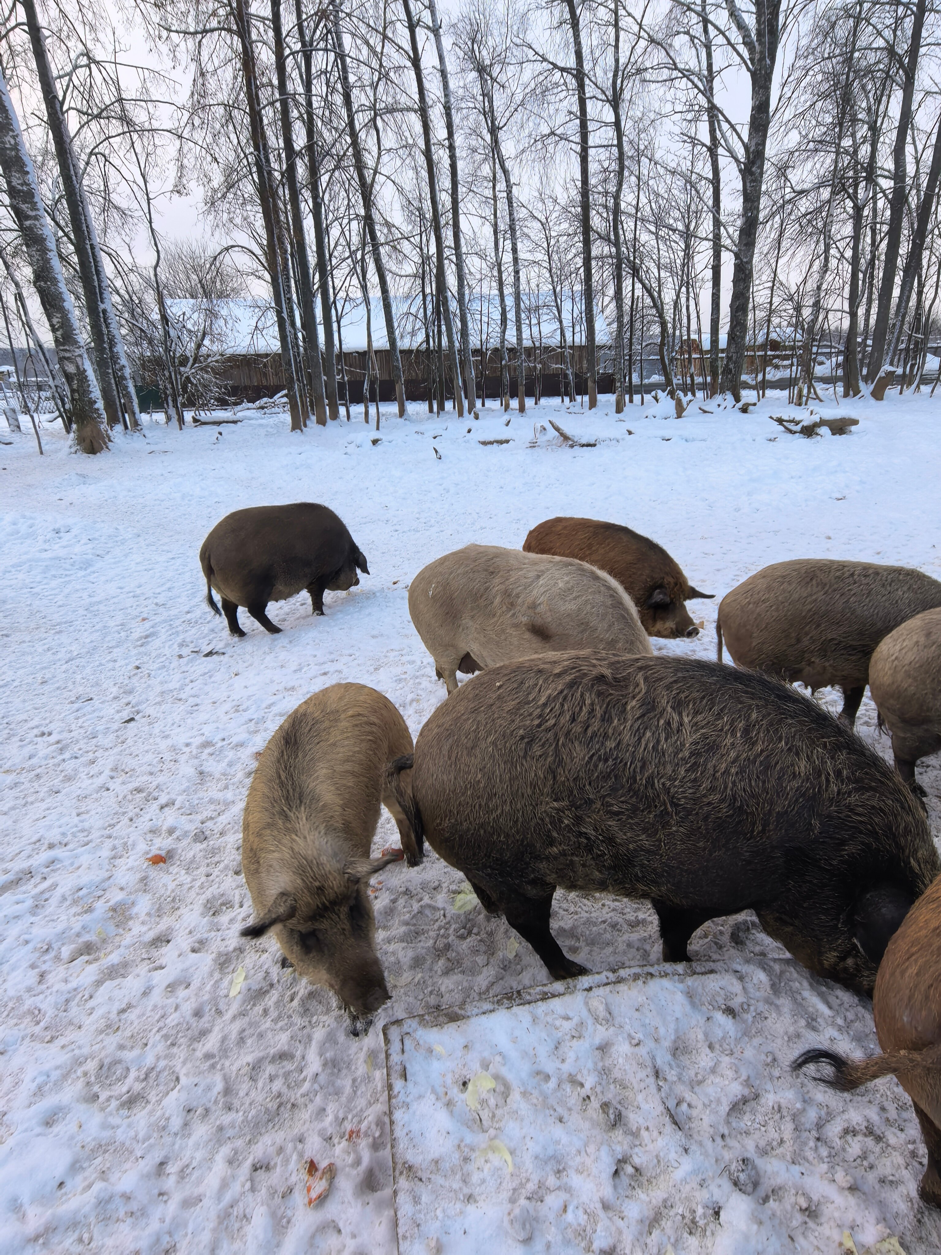 Фото Клевое место