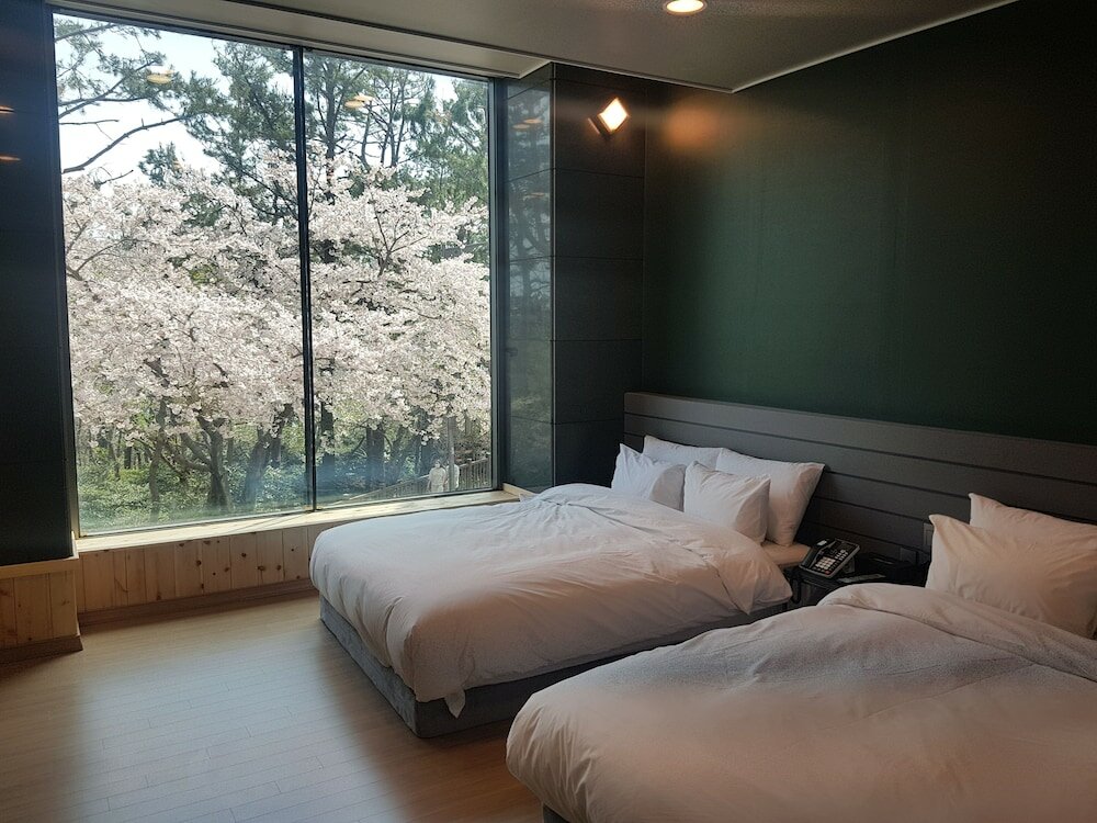 Фото Suntree Hotel