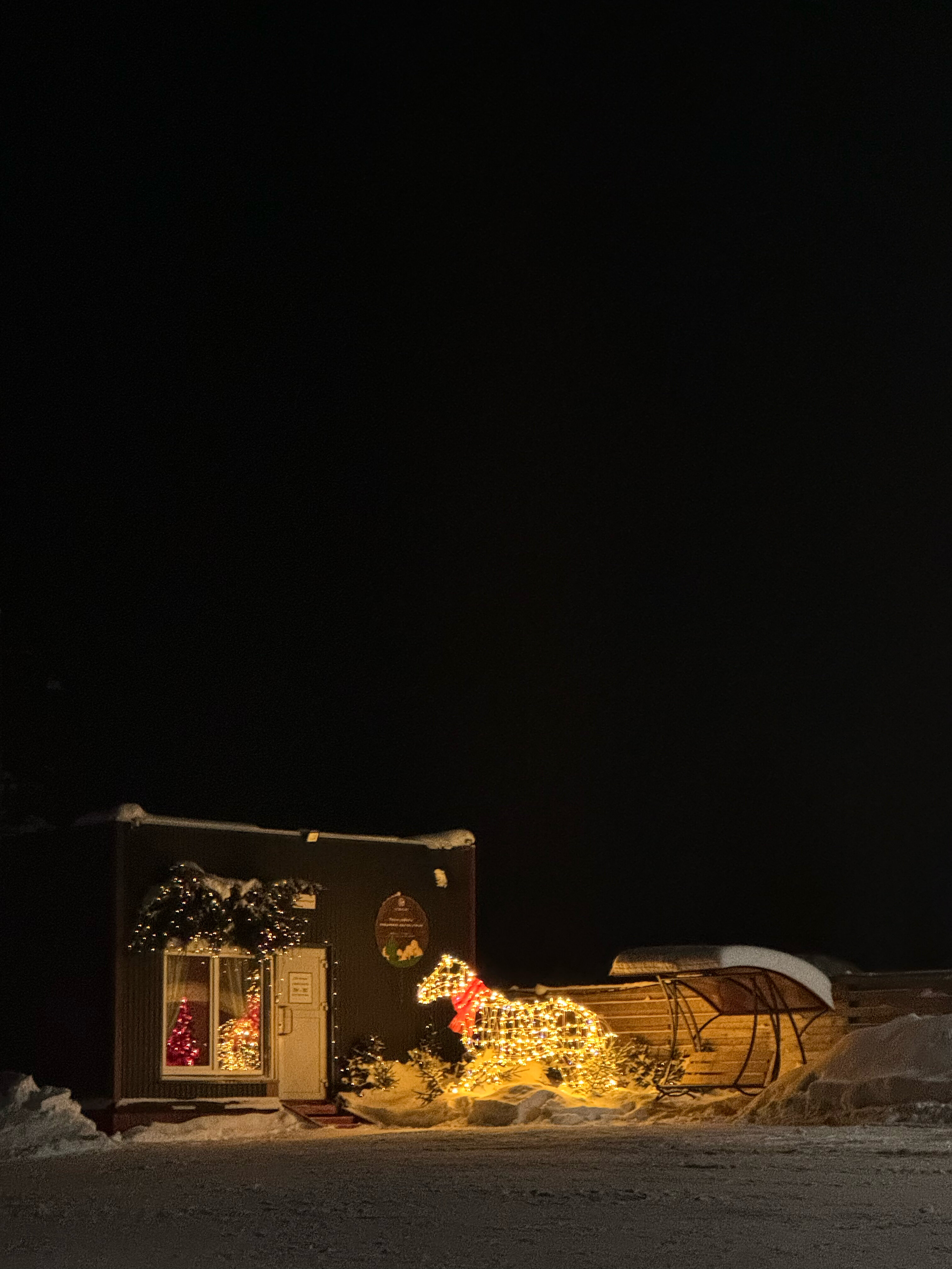 Фото Липовый цвет