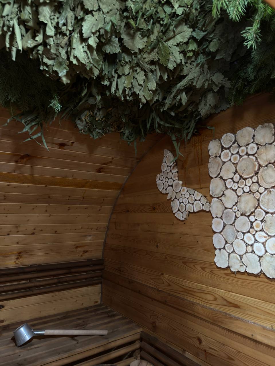 Фото Лаванда