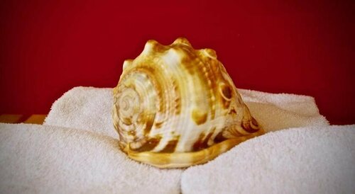 Внешний вид отеля La Scibina - Ospitalità Mediterranea в Рагузе, фото 5