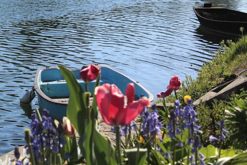 Внешний вид отеля Hôtel au Marais в Кулоне, фото 4