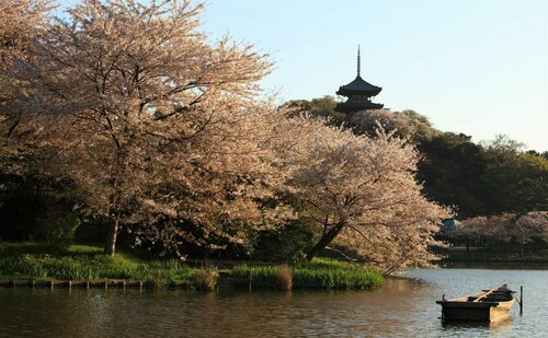 Внешний вид отеля Sotetsu Fresa Inn Yokohama Sakuragicho в Йокогаме, фото 5