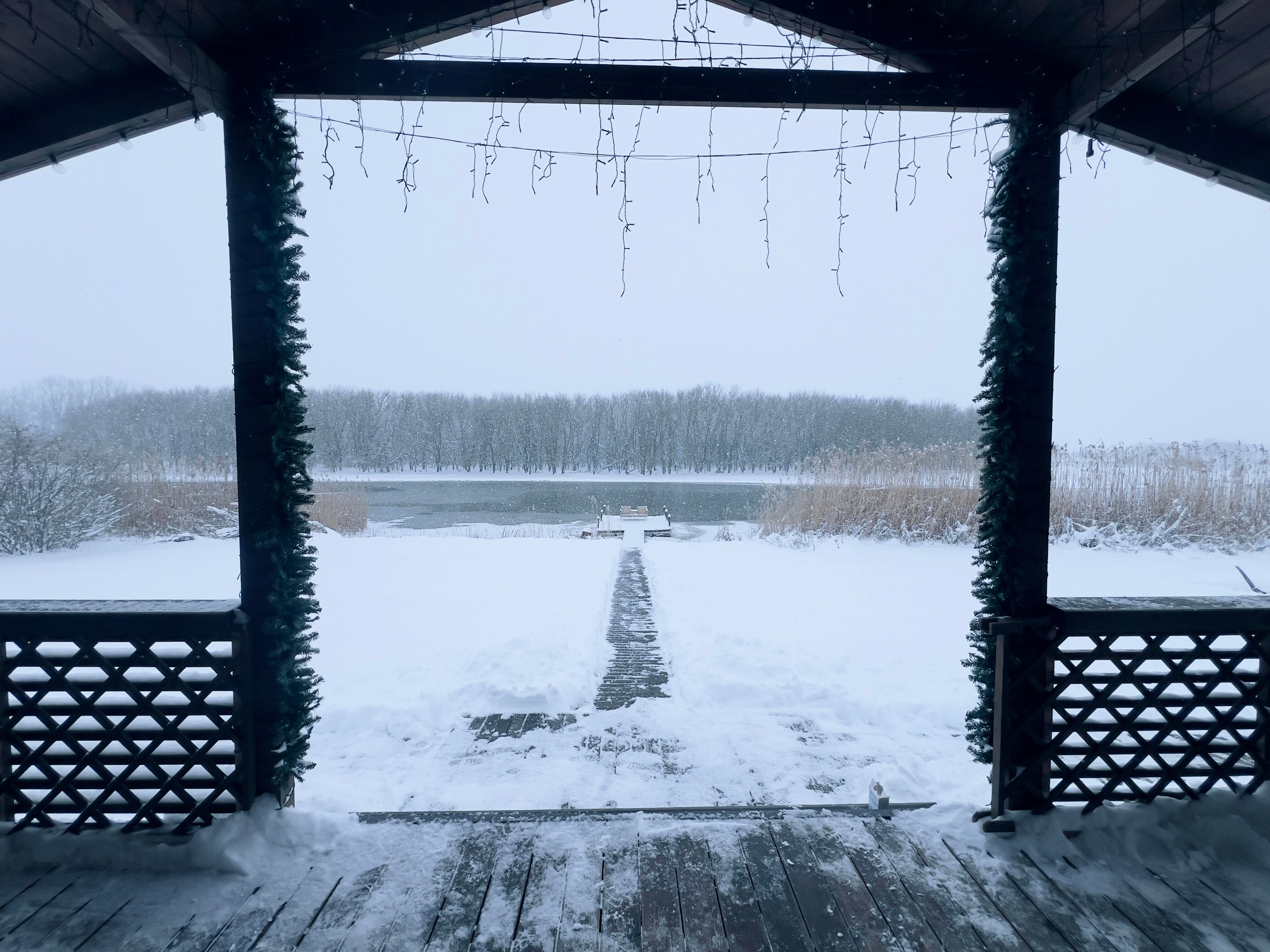 Фото Барн Лотос