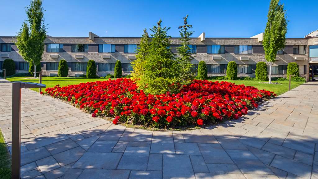 Фото Best Western Plus University Inn