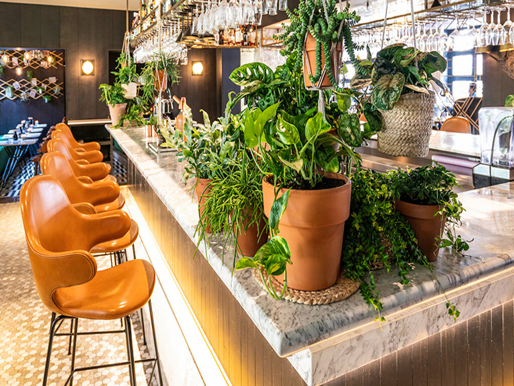 Фото Canal House Suites at Sofitel Legend The Grand Amsterdam