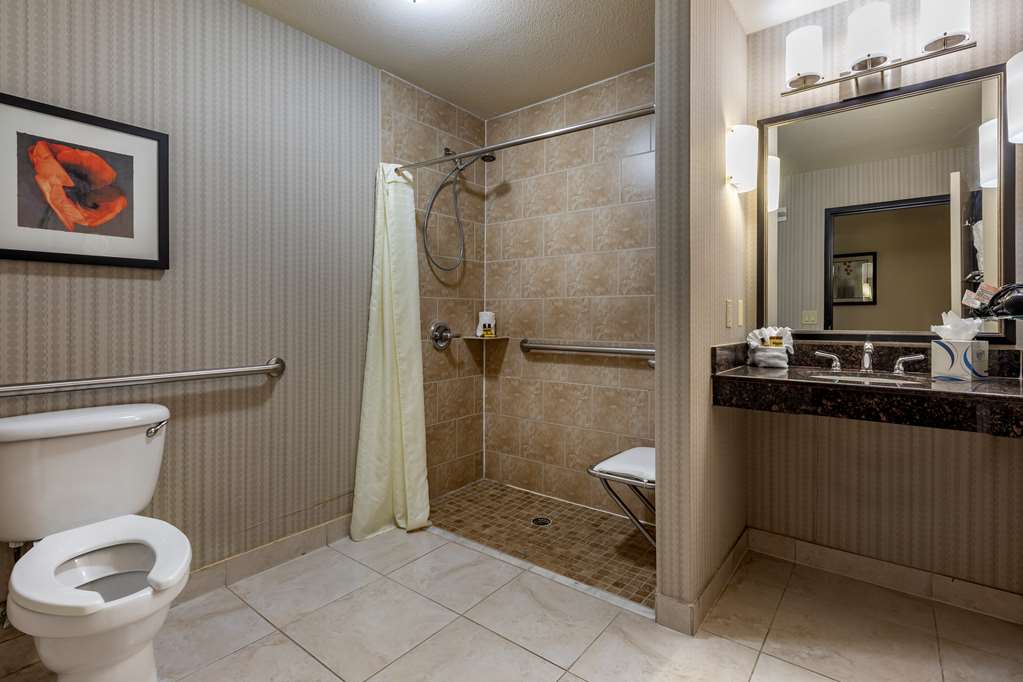 Фото Best Western Plus Dfw Airport West Euless