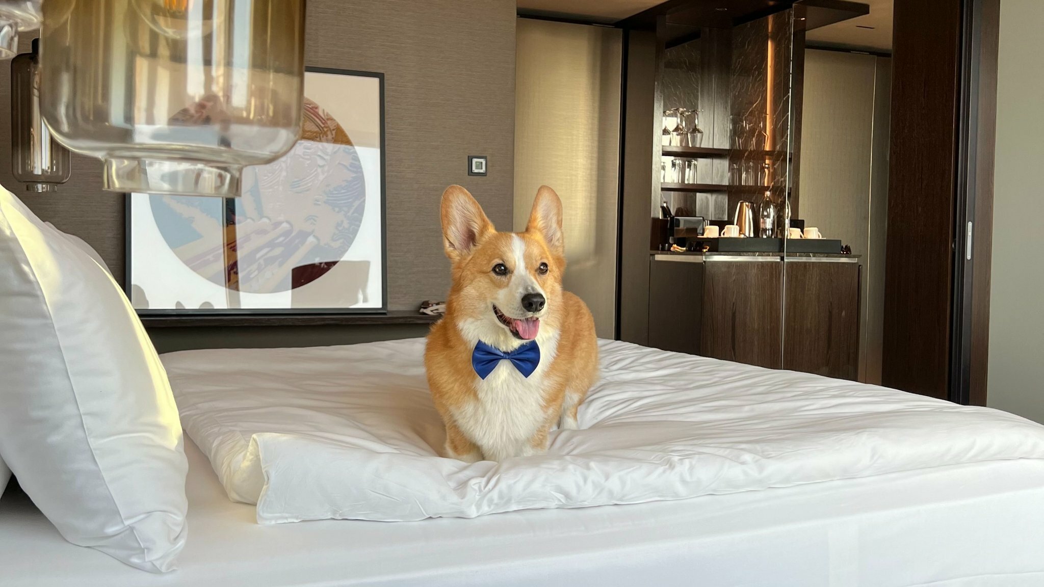 Фото InterContinental Ljubljana