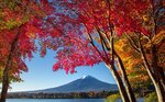 Hotel Mystays Fuji Onsen Resort