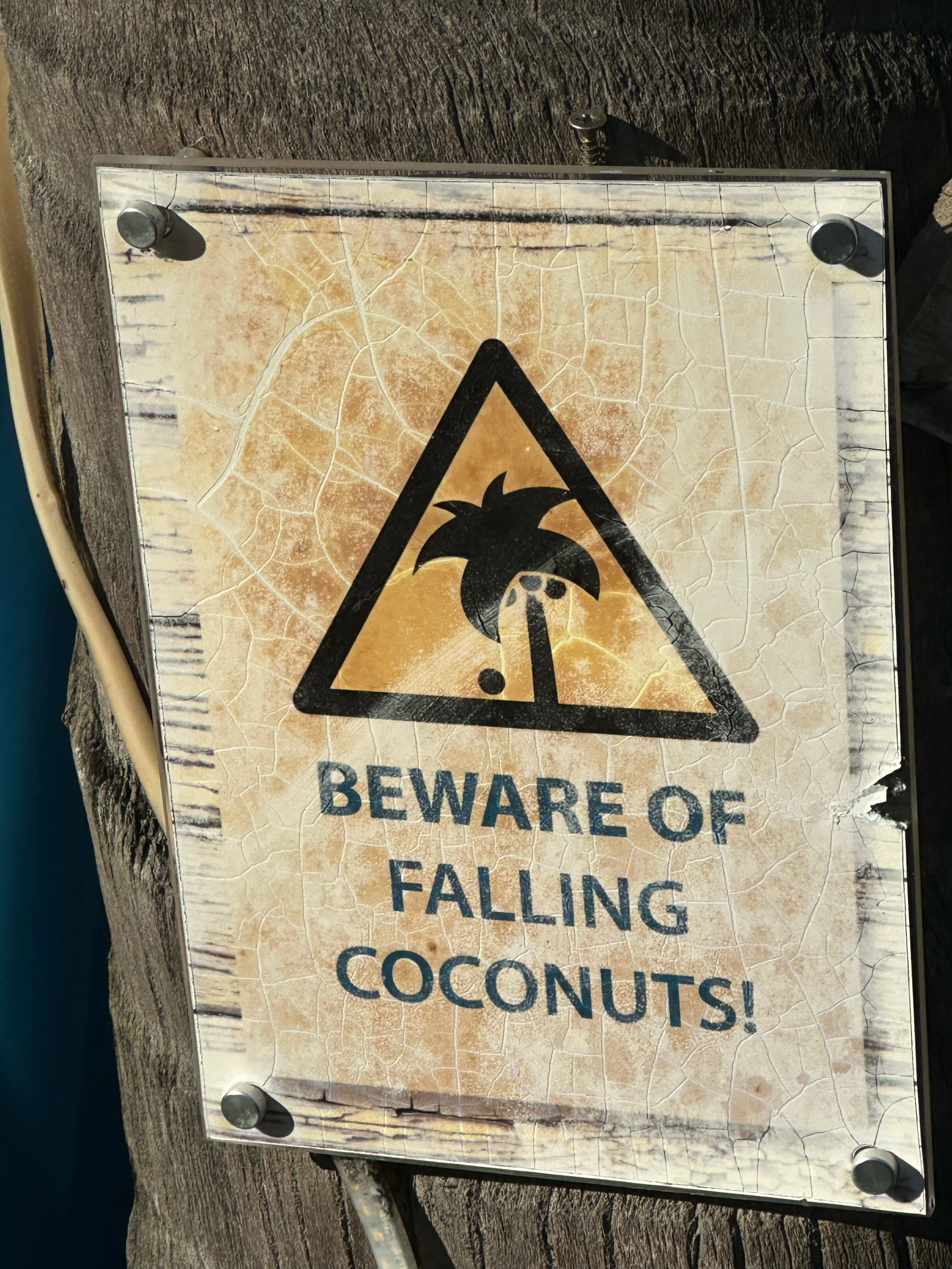 Фото Stella Rina