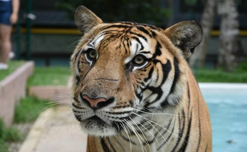 Апартаменты Pol&Pan Phanason Condo на Пхукете